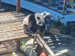 -大连森林动物园