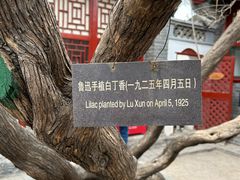 -北京鲁迅博物馆(北京新文化运动纪念馆鲁博馆区)