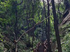 -大岭沟猕猴桃谷风景区