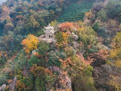 -树山生态村