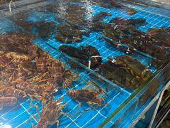 -济南海鲜大市场