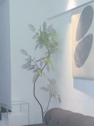 -小梨·OndaPro·专业脱毛连锁机构