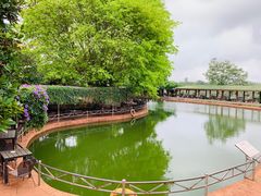 -侯臣咖啡文化村