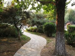 -北京市海淀外国语实验学校