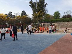 -铁山坪森林公园