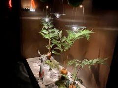 -大桶大足浴(山钢和润荟店)