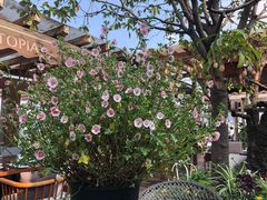 -时光乌托邦空中花园餐厅川味·融合菜(幸福广场店)