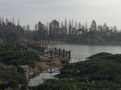 -上海海湾国家森林公园