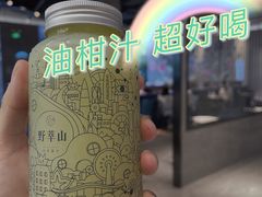 -野萃山·潮汕厚果汁(十亩地店)