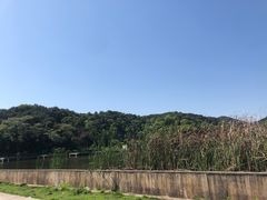 -芦仙山景区-飞越丛林探险乐园