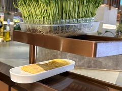 鲜豆苗-好彩猪肚鸡(正弘城店)