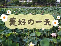 -潘塘公园