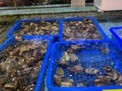 -快乐海鲜城(虎泉街店)