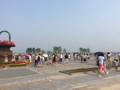 -武清南湖绿博园