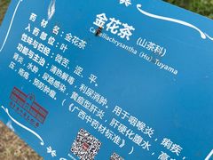 -陈李济中药博物馆