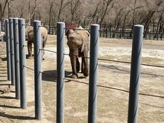 -新疆天山野生动物园