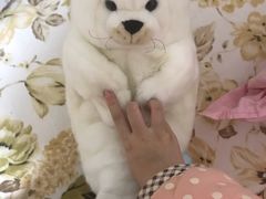-大连圣亚海洋世界