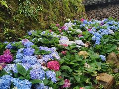 -MOJ coffee(瓯海泽雅水碓坑店)