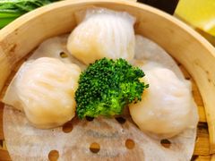 -龙宝轩(坦洲店)