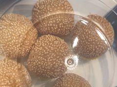 -海立阁海鲜江浙菜(漕河泾印象城店)