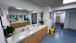 -温州伯思立医院