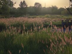 -汉长安城未央宫国家考古遗址公园