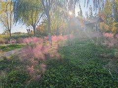 -永定河休闲森林公园