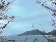 -广东惠东海龟国家级自然保护区