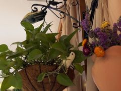 -观盐·盐帮菜(官园桥店)