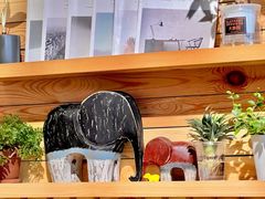 -大象园ELEPHANT GROUNDS(万象天地店)