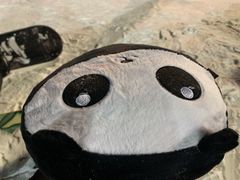 -庙香山滑雪场