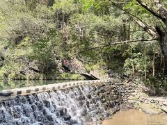 -石台牯牛降景区