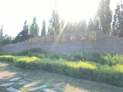 -永定河休闲森林公园