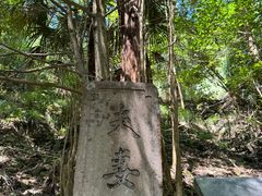-天目山大树王景区