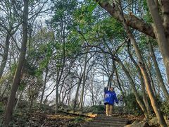 -上海佘山国家森林公园天马山园