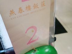 -燕春楼(海河华鼎店)