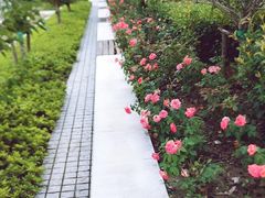 -北外滩滨江绿地