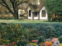 -上海共青森林公园