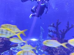 -上海海昌海洋公园
