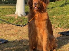 -杭州城北体育公园