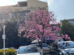 -昆明动物园