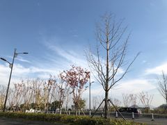 -湘湖金融镇