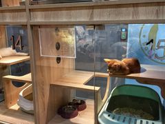 -BABIT巴比特宠物(MOMOPARK店)