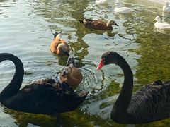 -珠海海泉湾神秘岛亲子乐园