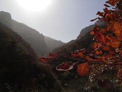 -黄花溪