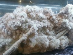 -湖南省地质博物馆