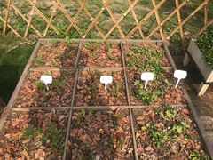 -上海植物园·停车场