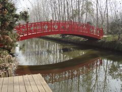 -合肥滨湖国家森林公园