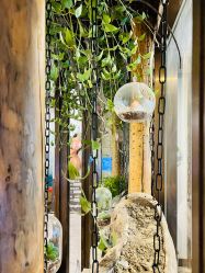 -青青一生美皮肤管理