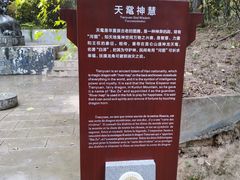 -黄帝陵